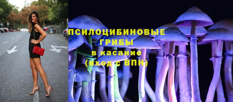 мега ТОР  Приволжск  Псилоцибиновые грибы MAGIC MUSHROOMS  купить наркотики сайты 